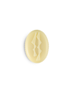 Irrésistible Fresa y Ruibarbo - Imagen 2