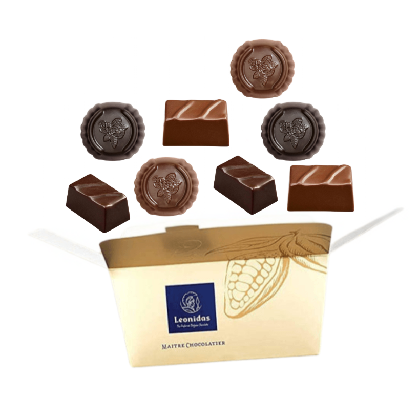 Ballotin-praline-vegane Petit Ballotin 375g pralinés veganos - Imagen 1