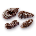 Conchas Marinas